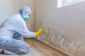 Asbestos and Lead Testing During Mold Inspection in Cudahy, CA